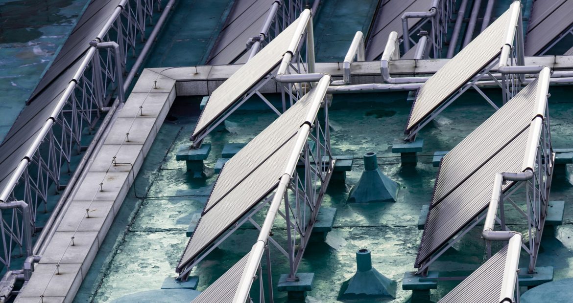 ecology-sunny-summer-global-alternative ecology-sunny-summer-global-alternative