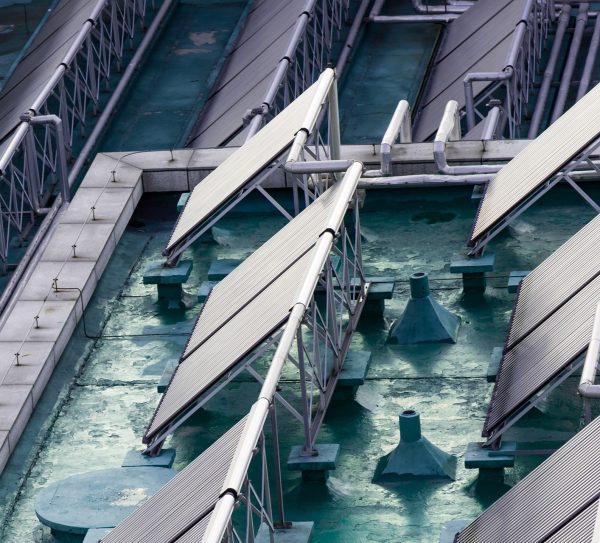 ecology-sunny-summer-global-alternative ecology-sunny-summer-global-alternative